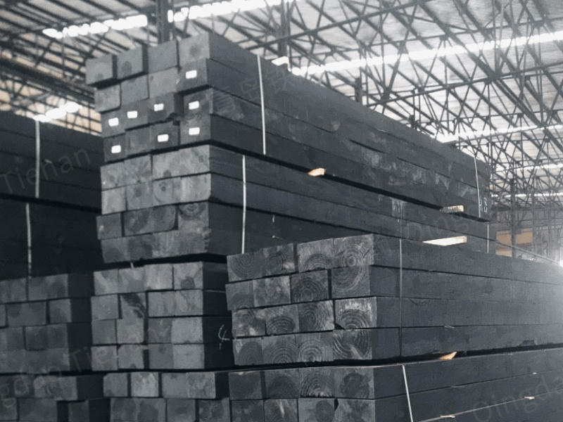 Anti insect, anti ant and anti-corrosion switch sleepers - maintaining railway switch safety